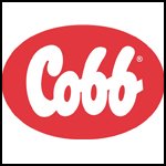 Coop - Bandırma